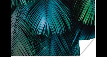 Poster Palmblad - Tropisch - Natuur - Jungle - 30x20 cm