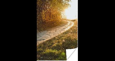 Poster Pad - Natuur - Boom - 20x30 cm
