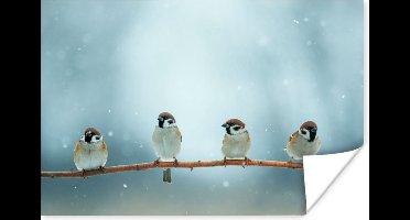 Poster Vogels - Mus - Sneeuw - Winter - 30x20 cm
