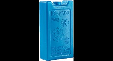 Plasticforte 250 grams koelelementen - 13 x 7 x 3 cm - blauw - kunststof - met sneeuwvlokken print - koeltas - koelbox