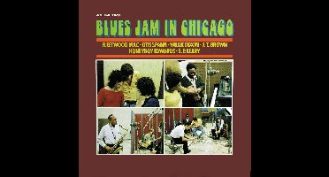 Blues Jam In Chicago 2