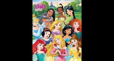 Disney Princess Prinsessen Poster 40x50cm