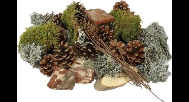 HBX natural living Basic Forrest Mix XL mos en dennenappels in zak