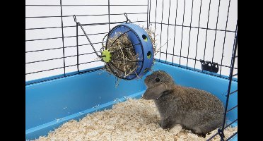 Savic Hooi- en Snackmolen Bunny Toy