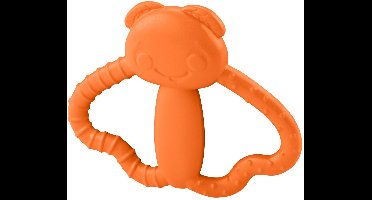 Fisher-Price Bug Teether, Jongen/meisje, 3 maand(en), Oranje