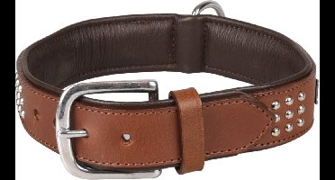 Hond Halsband Gevoerd Gevuld Sedona Bruin M / L 39-45cm 37mm