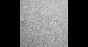 Vloerkleed Xilento Soft Dolphin | 200 x 300 cm