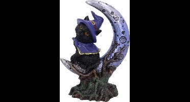 Nemesis Now Sooky Unisex beeld - meerkleurig - Standard