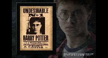 Muurplaat "Undesirable N1" Harry Potter