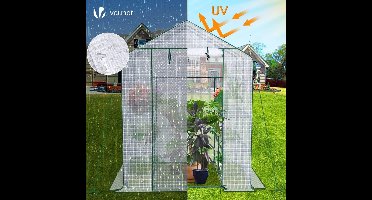Tomatenkas - Tomatenserre - Kweektent - Wit