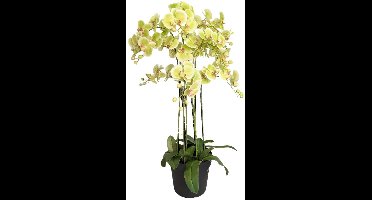 Orchidee Kunstplant 9-tak 110 cm - Groen