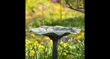 CJ Wildlife Vogeldrinkschaal voor Tuinvogels - Silbersee - Vogelbad op Voet - Waterschaal op Sokkel - Drinkschaal voor Buiten - Grijs/Zilver