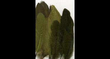 Vaessen Creative Feathers long - 15,5-20cm - 15stuks - forest