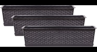 Prosperplast Plantenbak/bloembak Ratolla - 3x - 60 x 17 x 15 cm kunststof - donkerbruin - met opvangschaal