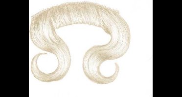 Witbaard Sintsnor Kort Kanekalonhaar Wit