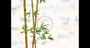 Kunstdruk Michael Ferner - Bambus 70x50cm