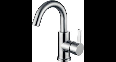 Wiesbaden Wastafelkraan Draaibaar - Rvs - Wes