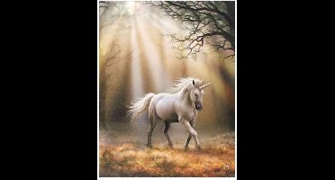 Anne Stokes Glimpse Unicorn canvas schilderij