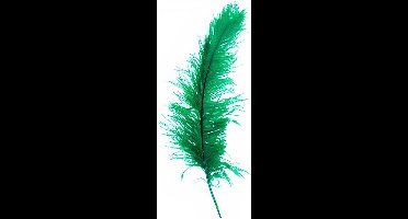 Witbaard Struisveer 50-60 Cm Groen