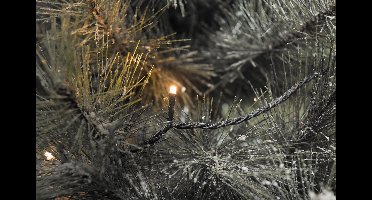 Konstsmide 3612 - Snoerverlichting - 120 lamps LED micro - 1904 cm - 24V - voor buiten - extra warmwit