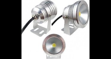 10 watt LED spot light outdoor Koud-Wit 12 volt