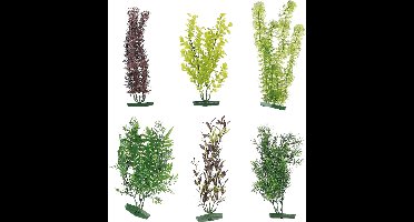 Flamingo - Aquarium plant assortiment - Willekeurig - 30 cm