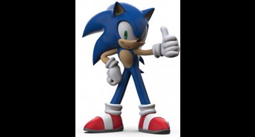 Comansi Sonic the Hedgehog Mini figure Sonic OK 7 cm Mini-Figuur