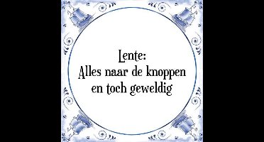 Tegeltje met Spreuk (Tegeltjeswijsheid): Lente: Alles naar de knoppen en toch geweldig + Kado verpakking & Plakhanger