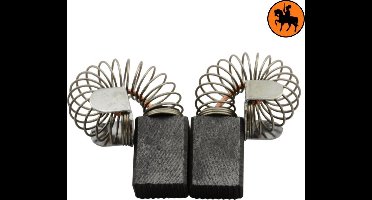 Koolborstelset voor Protool Schuurmachine DRP 20 ET - 6,3x10x14mm