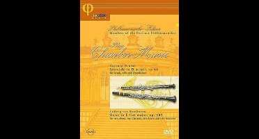 Beethoven, Dvorbk  Kamermuziek