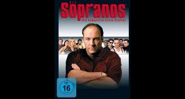 Sopranos Staffel 1