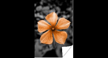 Poster Bloemen - Oranje - Zwart - Wit - 20x30 cm