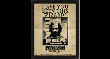 Harry Potter Potter Sirius 3D Lenticular Poster 28,7 x 23,5cm