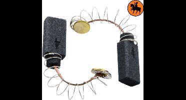 Koolborstelset voor AEG Schuurmachine FB8 - 4x6,4x11,5mm