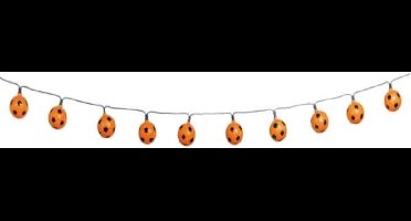 Verlichting Oranje Voetbal 10 lamp