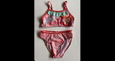 Bikini meisjes | Bikini set | Kinderen | Disney | Paw Patrol Meisjes | 116/122 |5-7 jaar