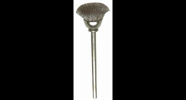 Komborstels Staal � 13 Mm. 2 St.