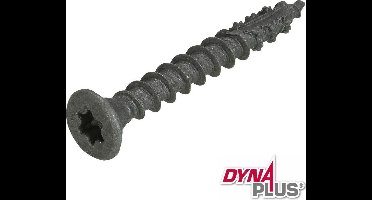 Dynaplus - Unischroeven - Torx 30 platkop - 6 x 50mm - AR-Coating - Voldraad (100 stuks)