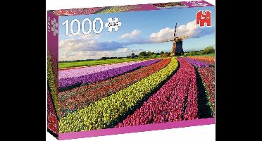 PC Field of Tulips (1000)