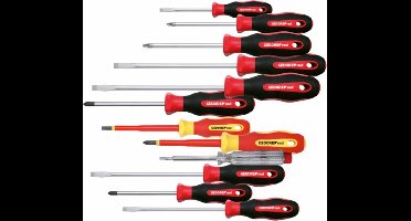 Gedore RED R38002012 12-delige 2C-Schroevendraaierset XXL