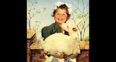 Weisheit Aus Des Kindes Mund