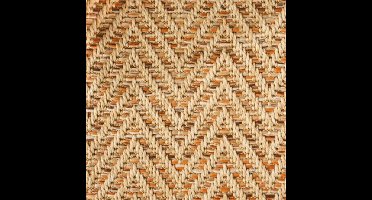 Vloerkleed Xilento Outdoor 4027-13 | 200 x 300 cm