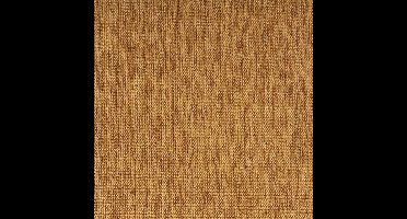 Vloerkleed Xilento Outdoor 4506-75 | 200 x 300 cm