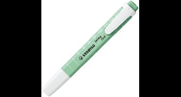 Fluorescent Marker Stabilo Swing Cool Mint 10 Pieces