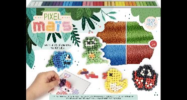 Graine Creative Pixel maïs - 1100 stuks