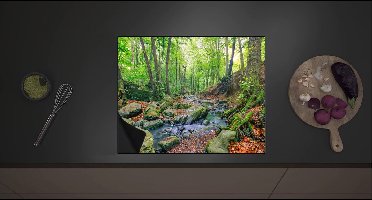 Inductieplaat Beschermer - Groen Bos met Stromend Beekje omringd door Stenen - 60x52 cm - 2 mm Dik - Inductie Beschermer met zwarte kern