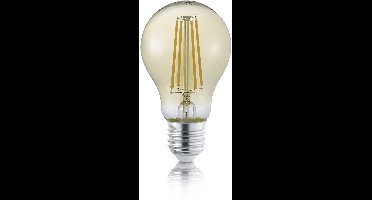 LED Lamp - Filament - Torna Limpo - E27 Fitting - 8W - Warm Wit 2700K - Dimbaar - Amber - Glas