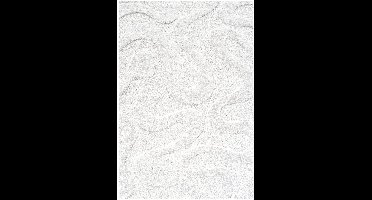 Rugsman Osaka 013.007.6191 Vloerkleed - 240 x 340 cm - Wit - Rechthoekig - Polyester - Woonkamer - Abstract - Shaggy - Hoogpolig, Scandinavisch