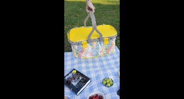 Geïsoleerde Koeltas| Lunchtas| Thermotas| 22 Liter| Picknicktas| Isolatie| Kamperen
