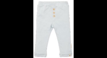 Broek - Blauw - Forest Friends - Gestreept-74